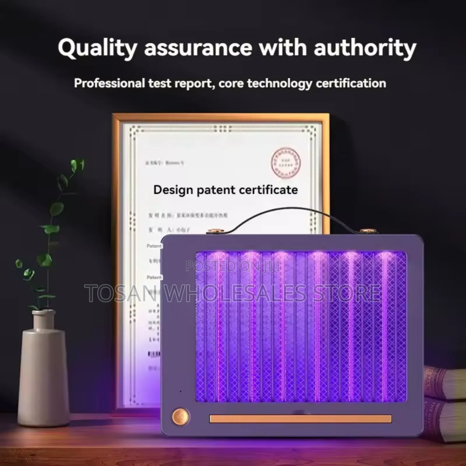 Chargeable Mosquito Killer Lamp