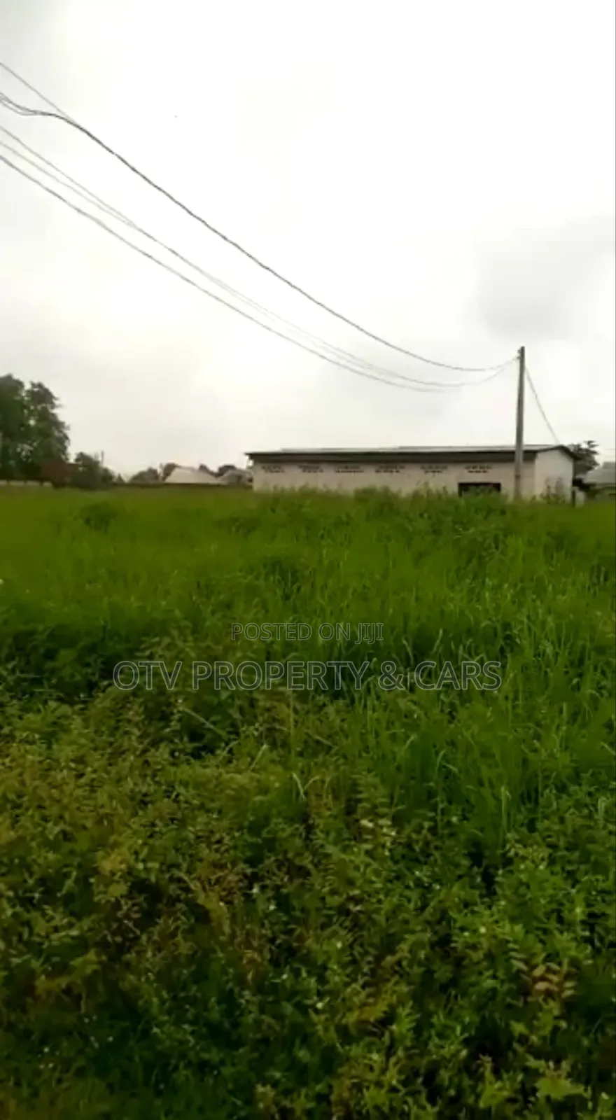 Direct Farmland for Sale*