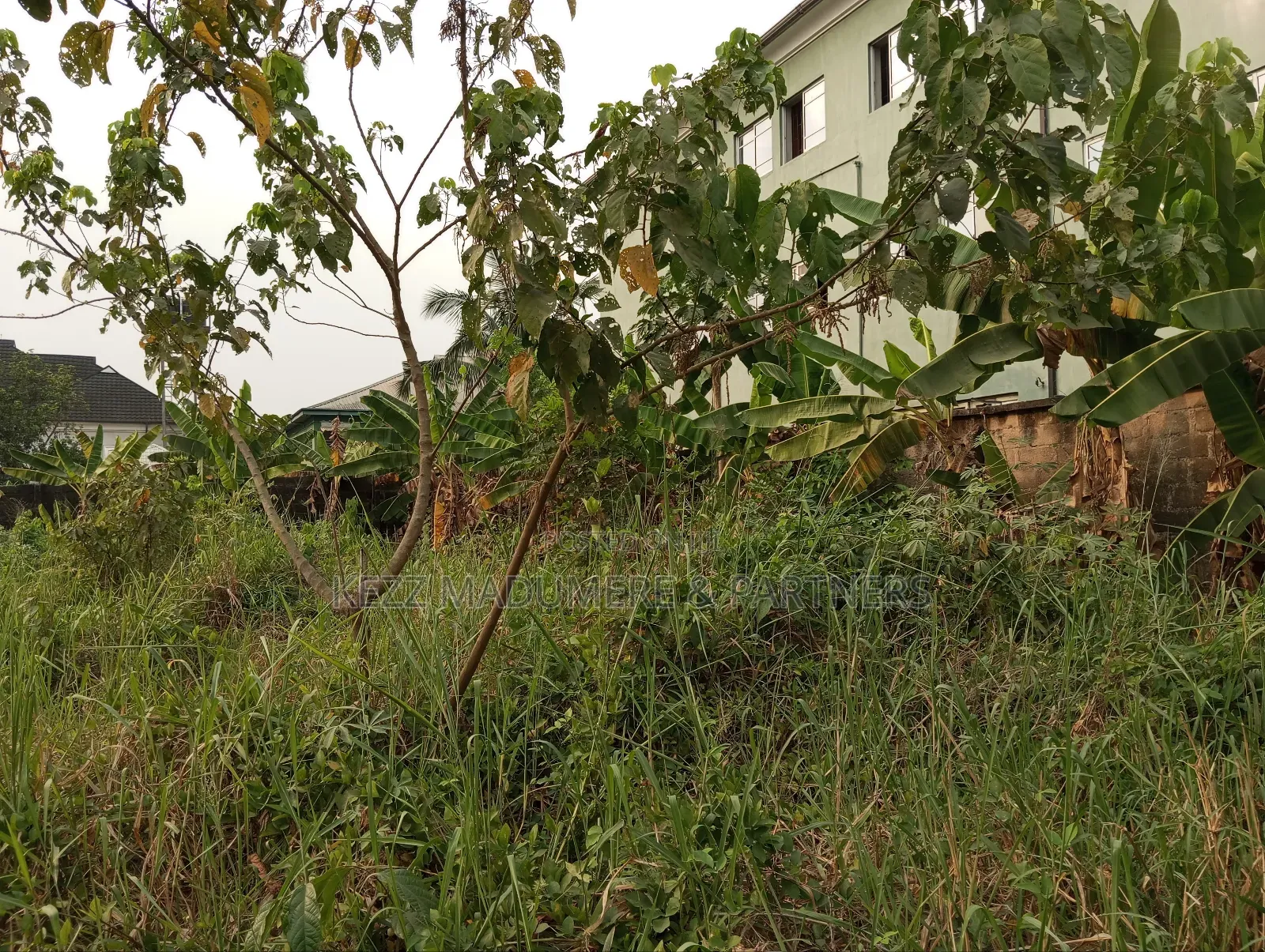 For Sale : 2 Plots at Freedom Estate ,Sars Road, Ph