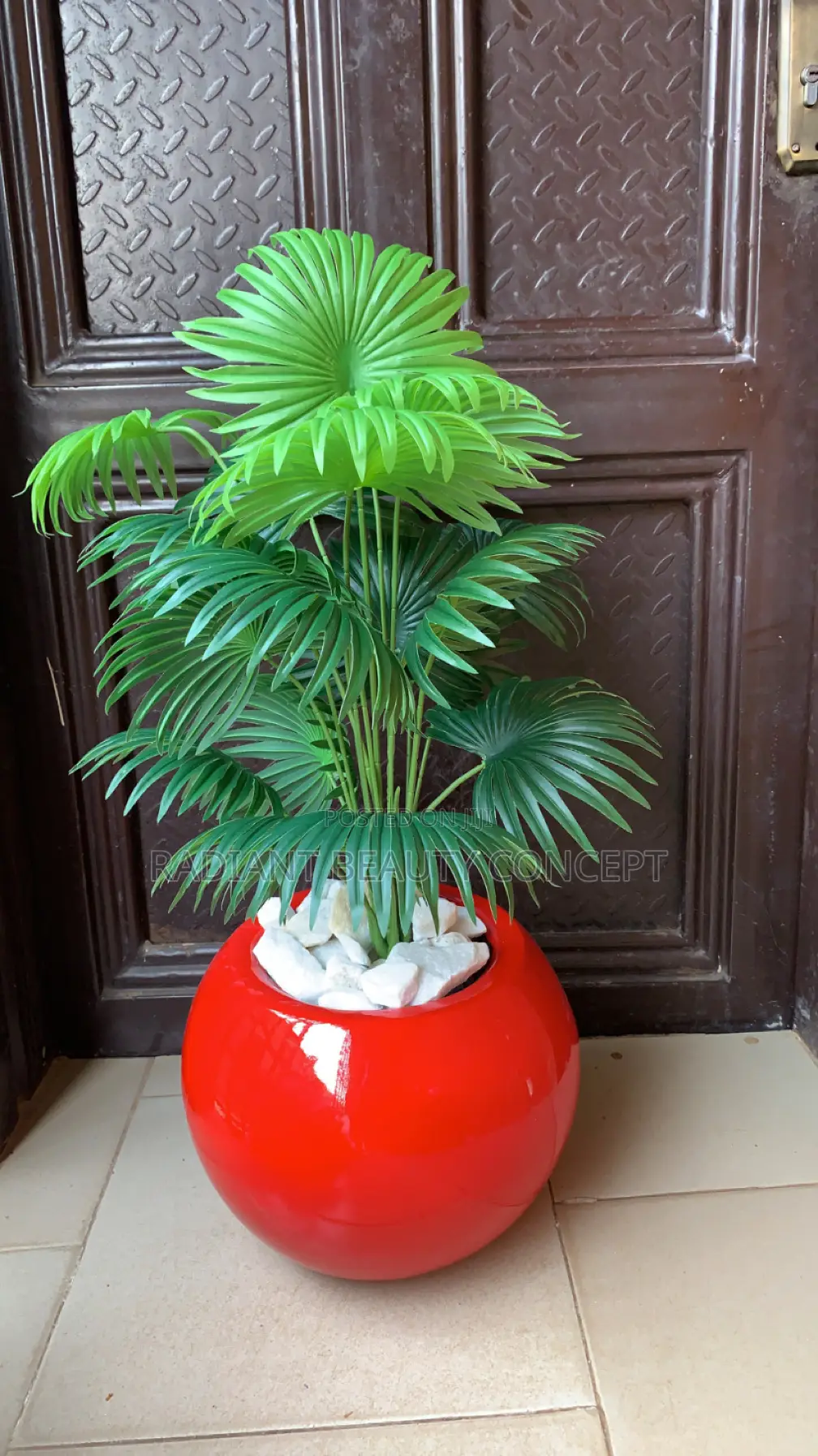 Red Fibre Pot With Fixing Flower Plant