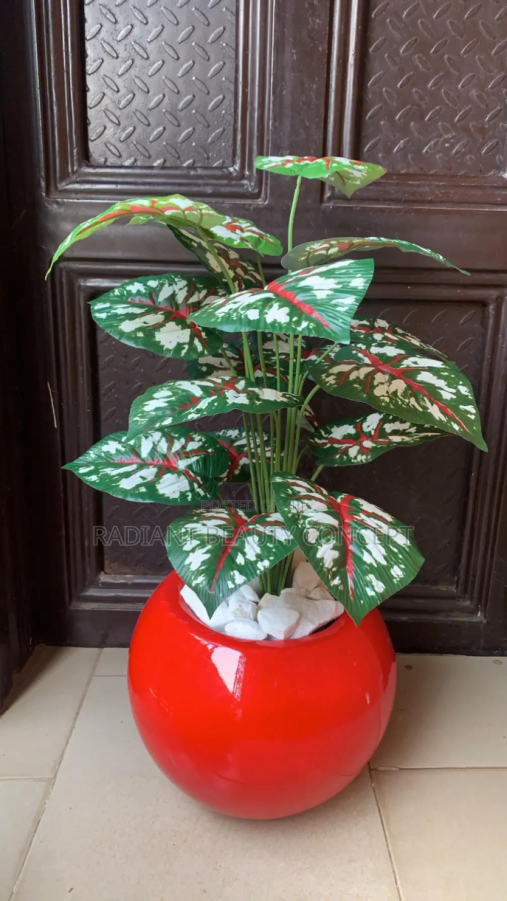 Red Fibre Pot With Fixing Flower Plant
