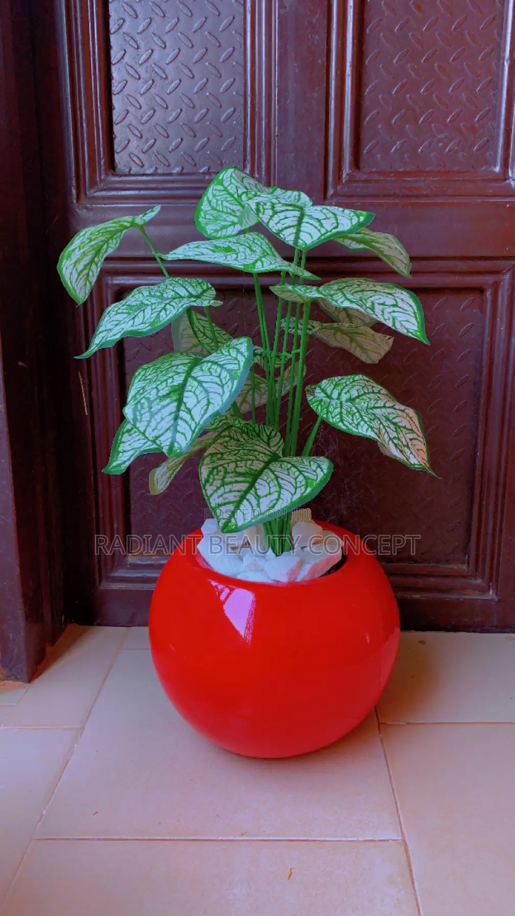 Red Fibre Pot With Fixing Flower Plant