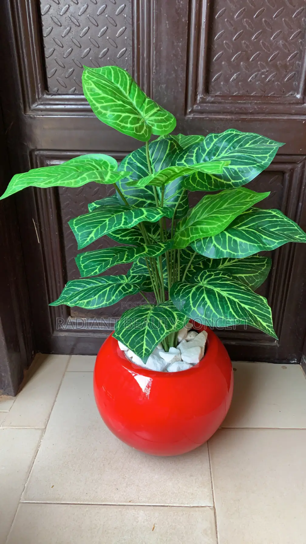 Red Fibre Pot With Fixing Flower Plant