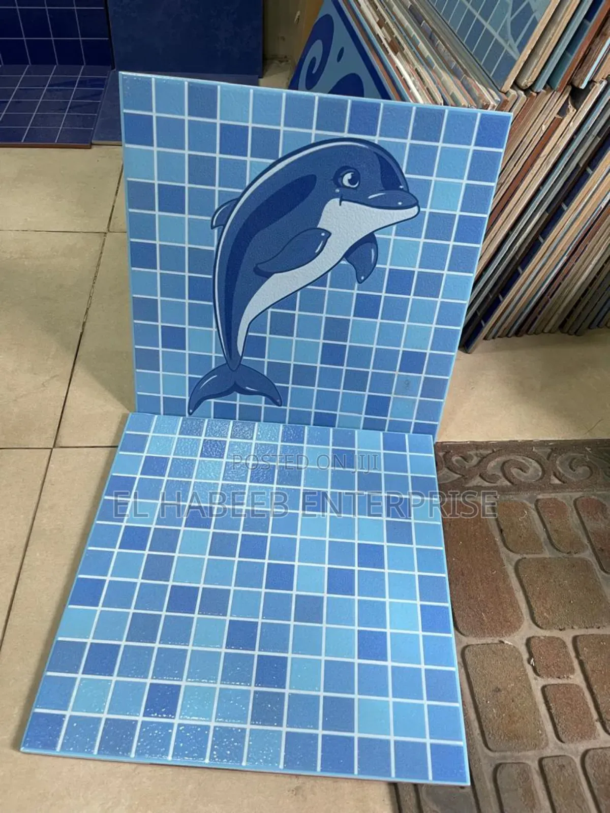 Swimming Pool Imported Tiles