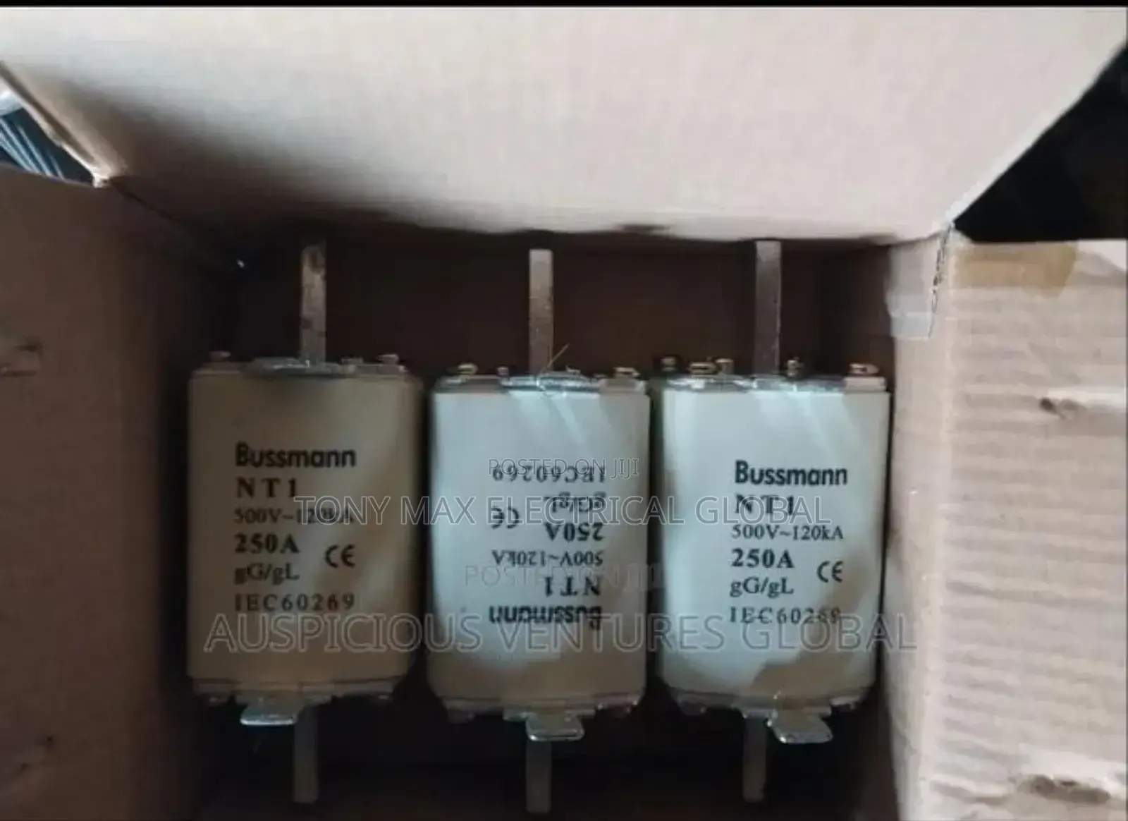 250A Original Fuse