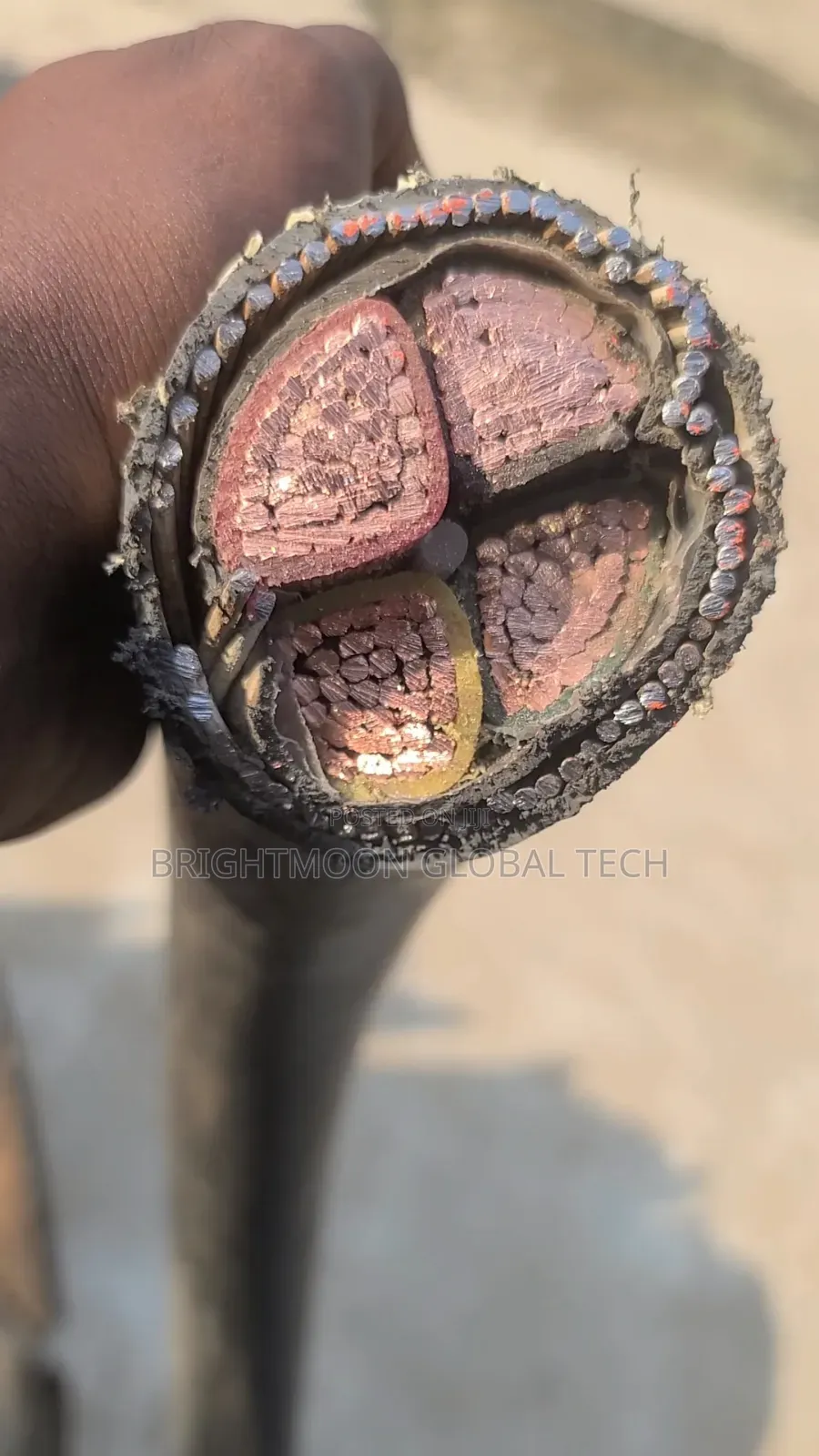 Original Coleman 240mm 4core Armoured Cable Pvc Swa Pvc
