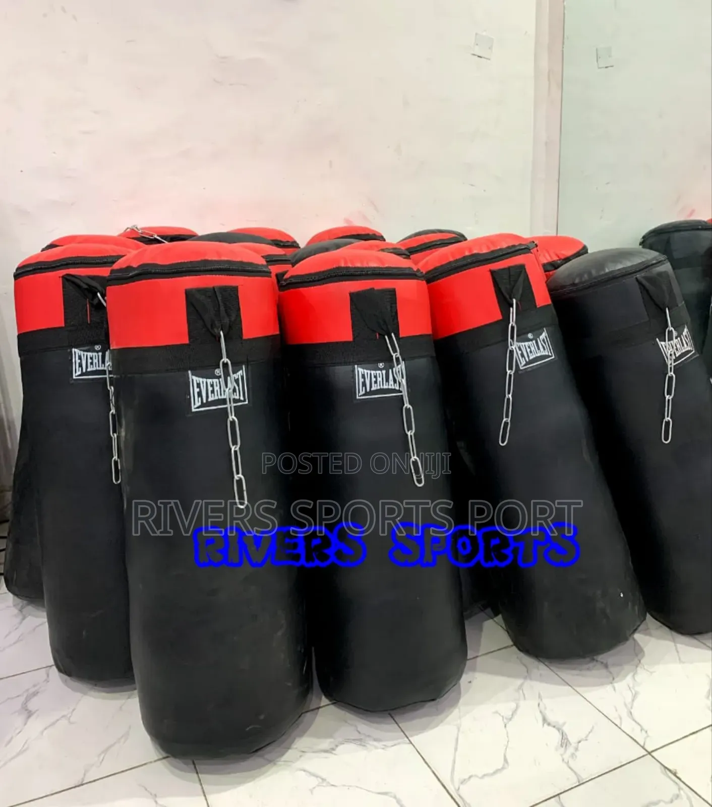 Everlast Punching Boxing Bag
