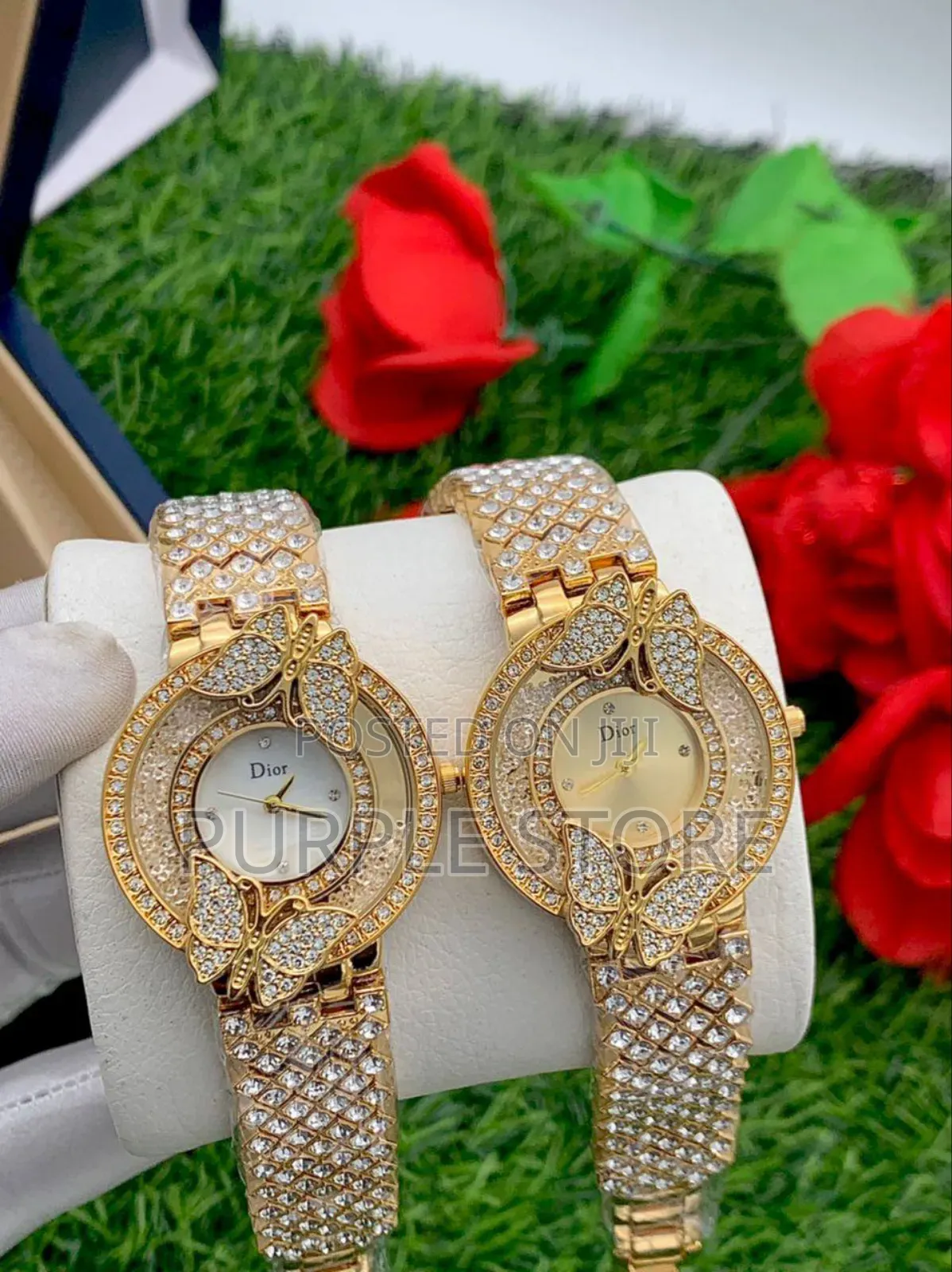 Dior Women Full-Stone Watch 