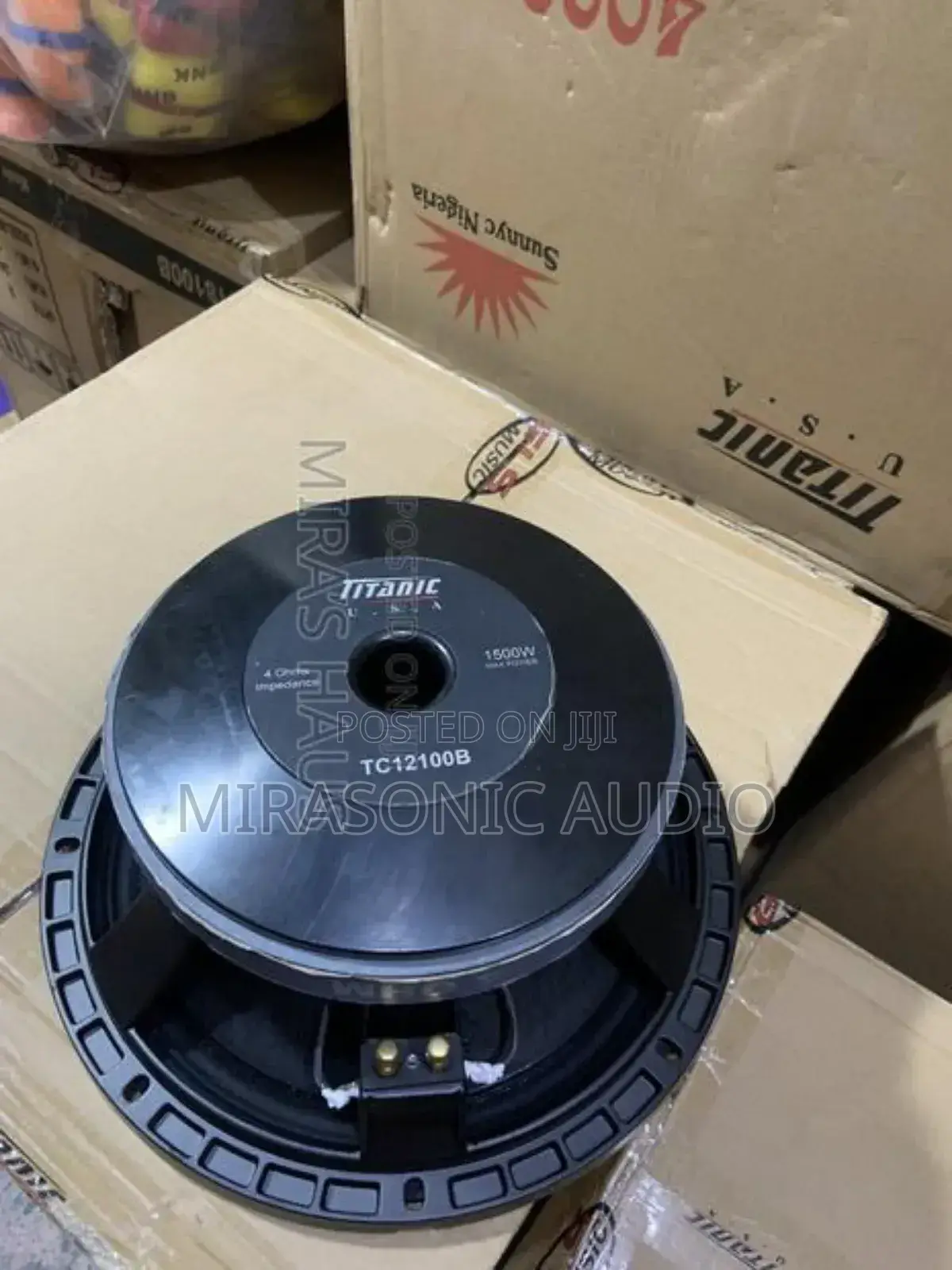 Titanic 12”Big Magnet Naked Speaker