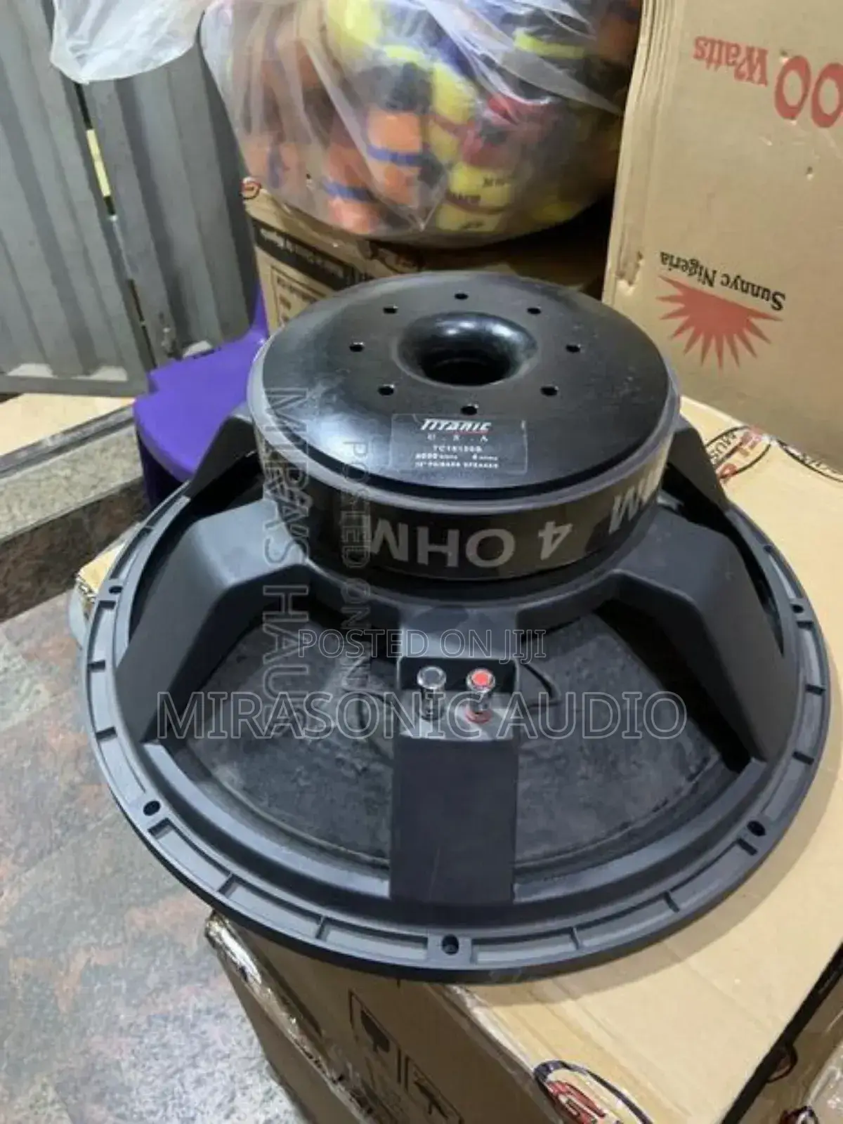 Titanic 18”Naked Sub Speaker,Big Magnet