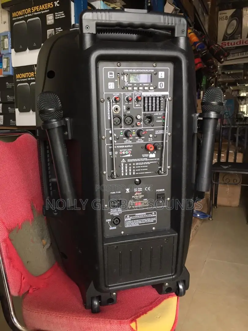 Jaguar Rechargeable Public Addressing System With 2 Mics