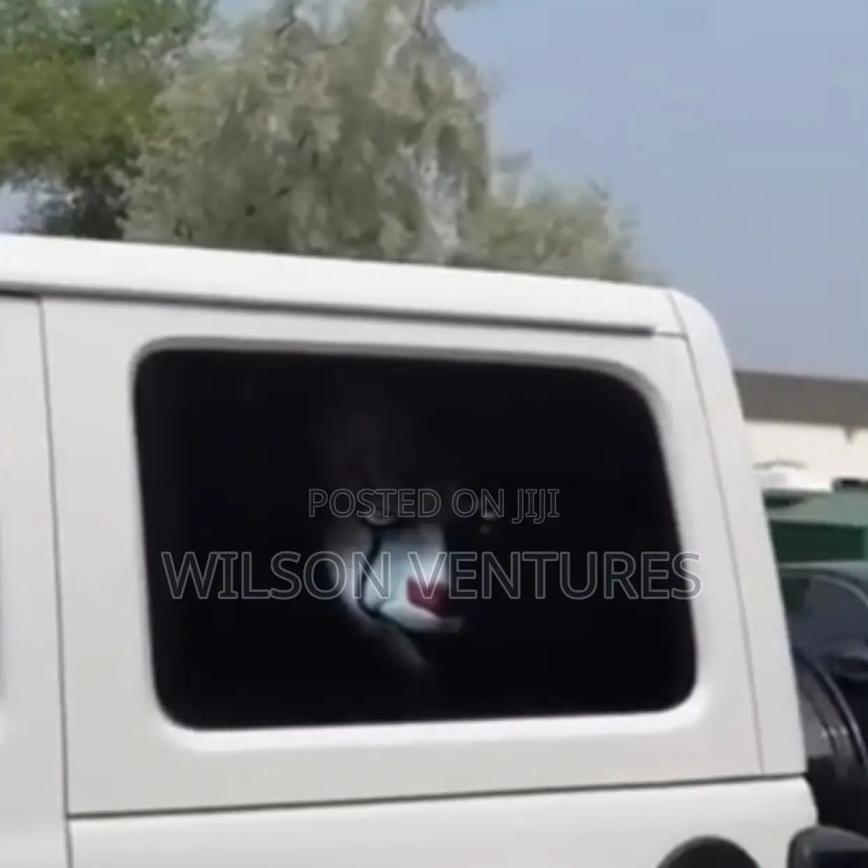 Side Window Windscreen Design Sticker Sunshade