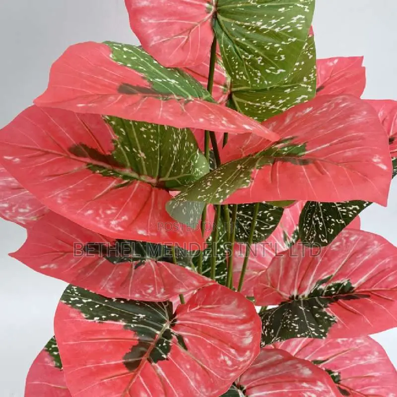 Artificial Mini Potted Plants Available for Buk Sales