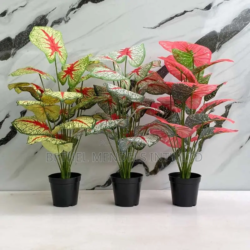 Artificial Mini Potted Plants Available for Buk Sales