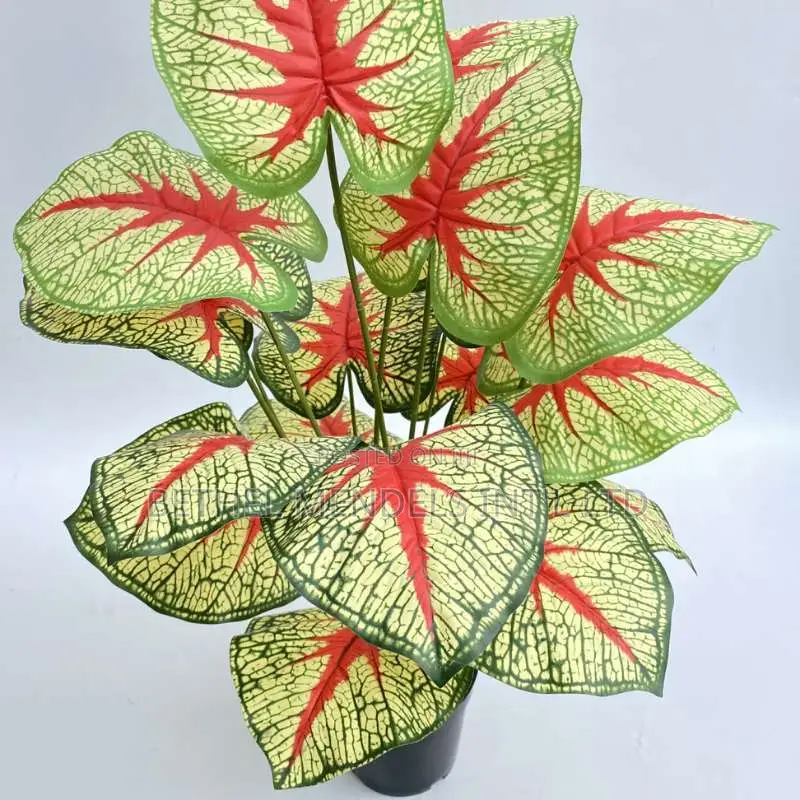 28inch Artificial Houseplants at Wholesales Price