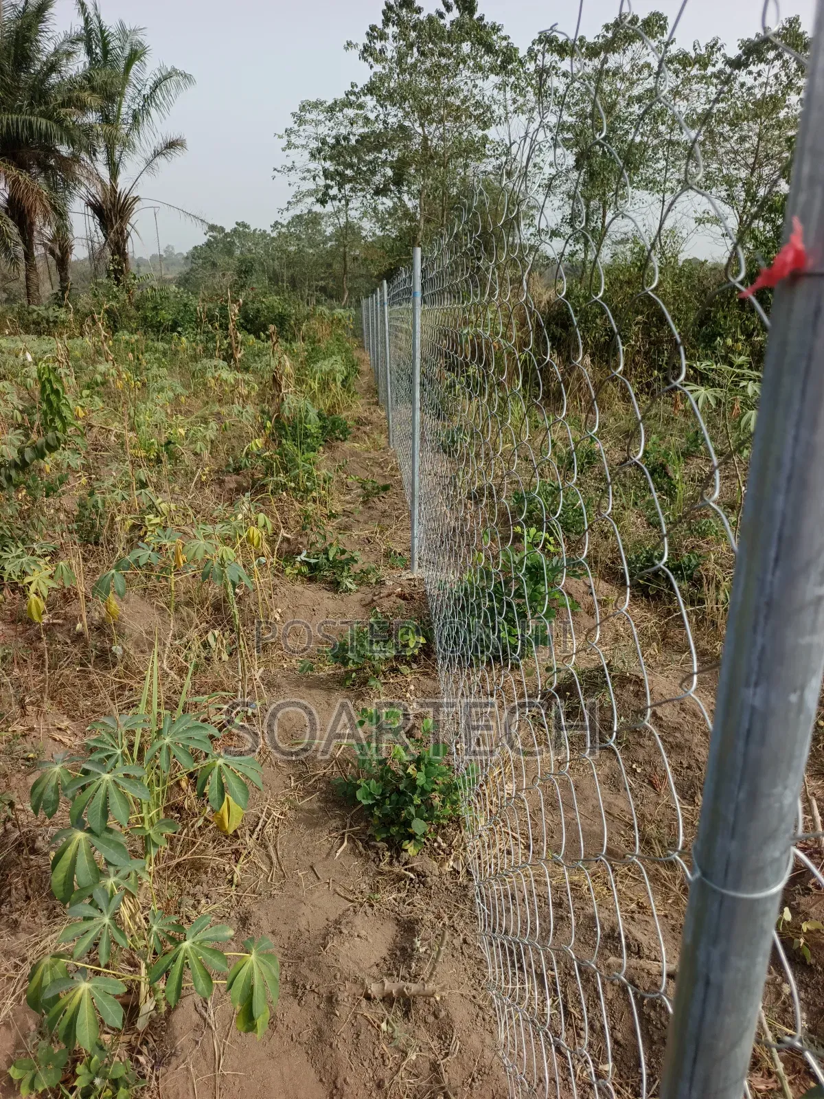 Farm Fencing