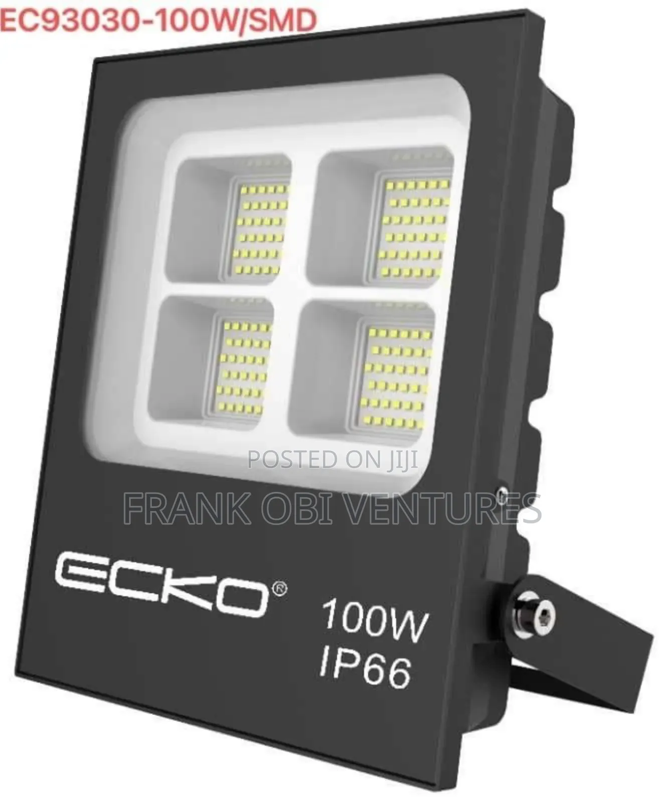 100w Echo Floodlights