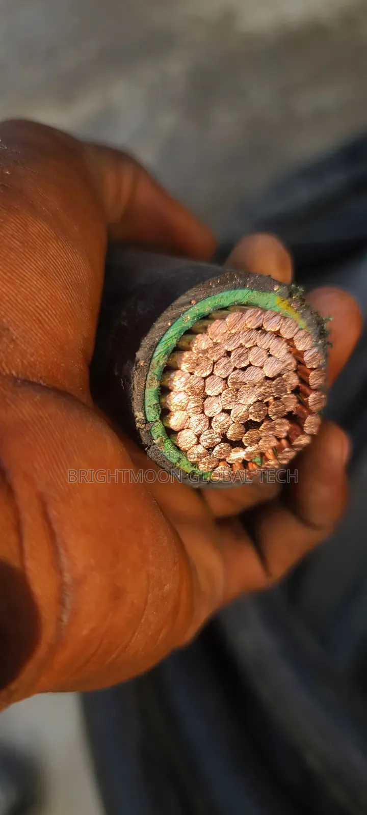 Original Nigerchin 500mm Single Pvc Cable .. Pvc Pvc