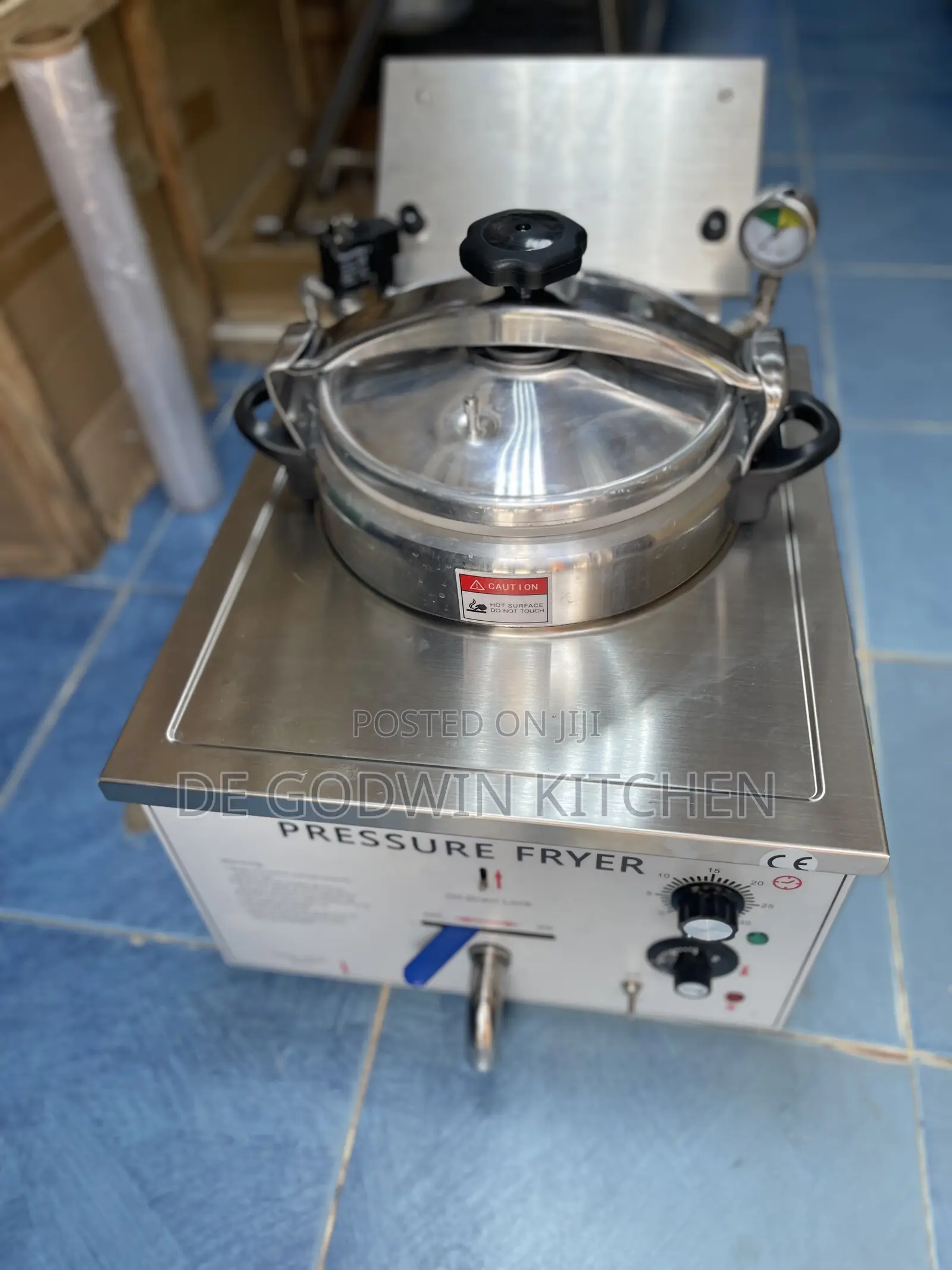 Pleasure Electric Fryer