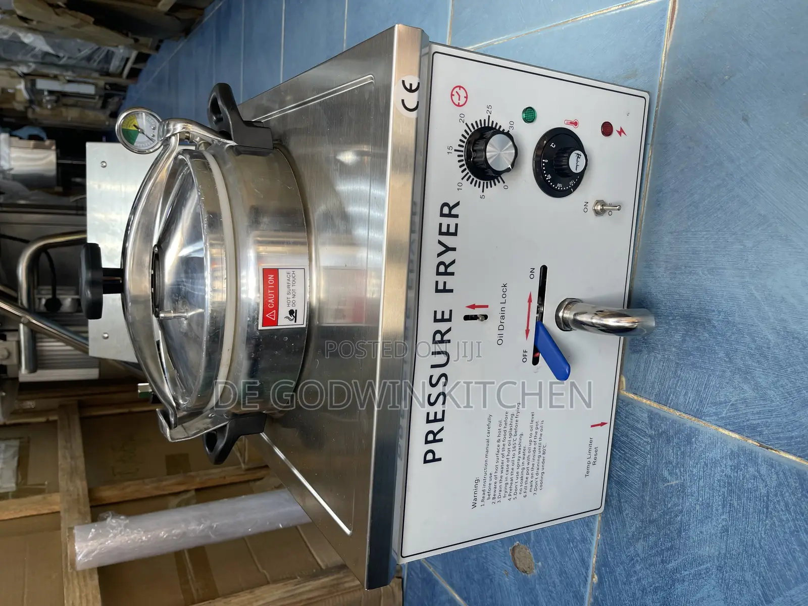 Pleasure Electric Fryer