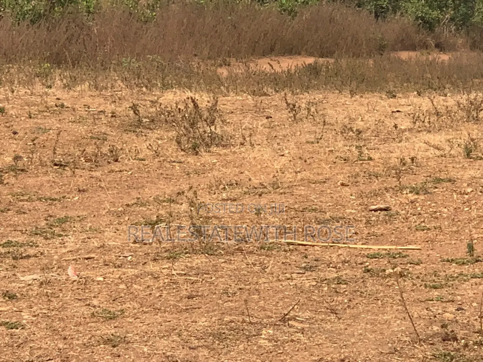 Beautiful Lush Estate Is Serenely Sitted in Abuja