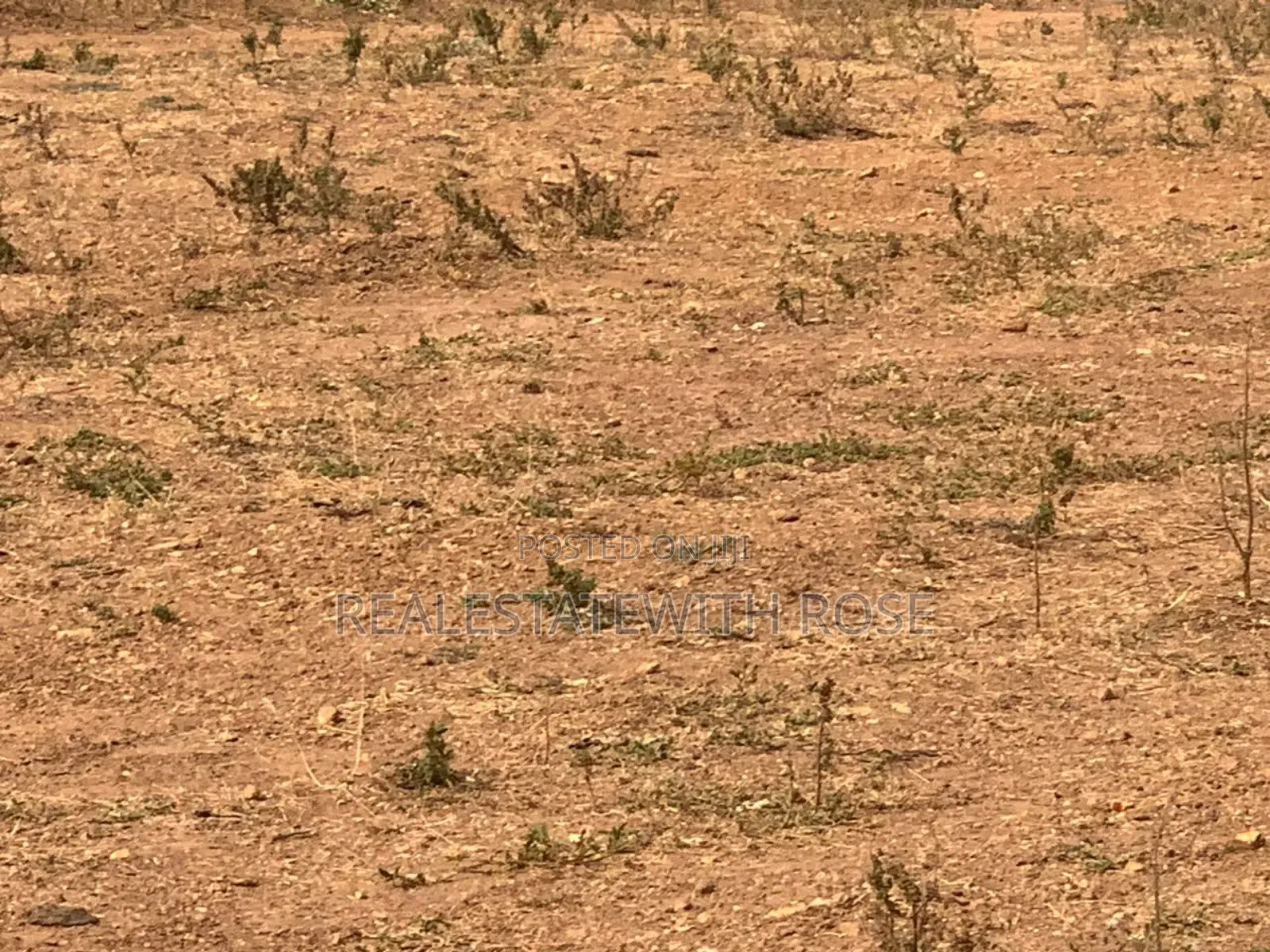 Beautiful Lush Estate Is Serenely Sitted in Abuja
