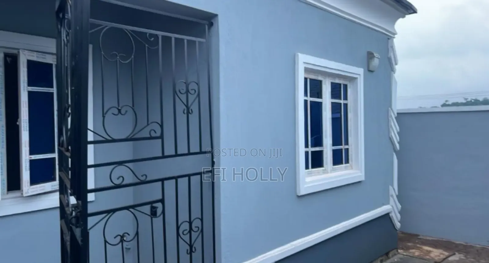 Professional House Painter and Paint Production