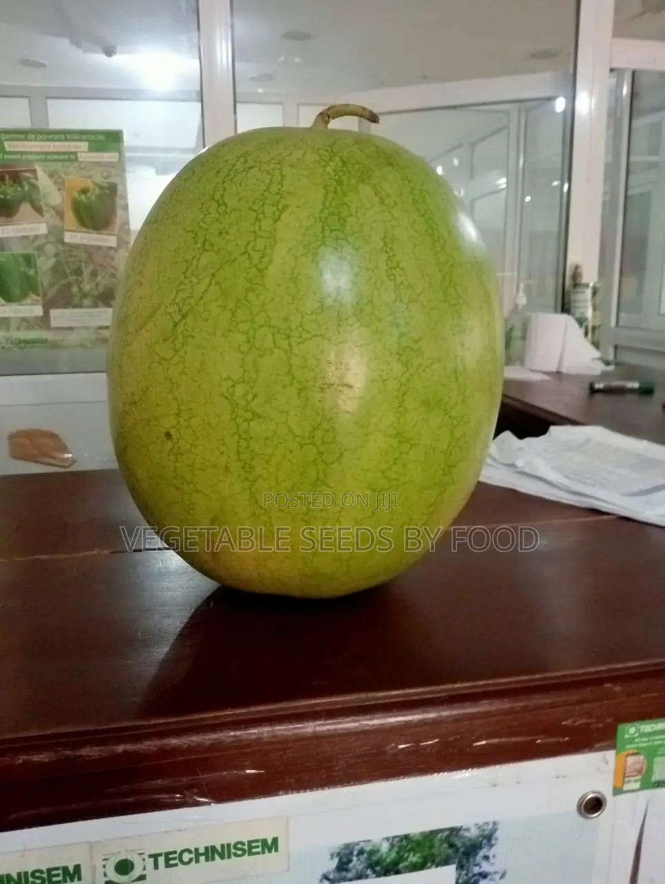 Watermelon Greybell
