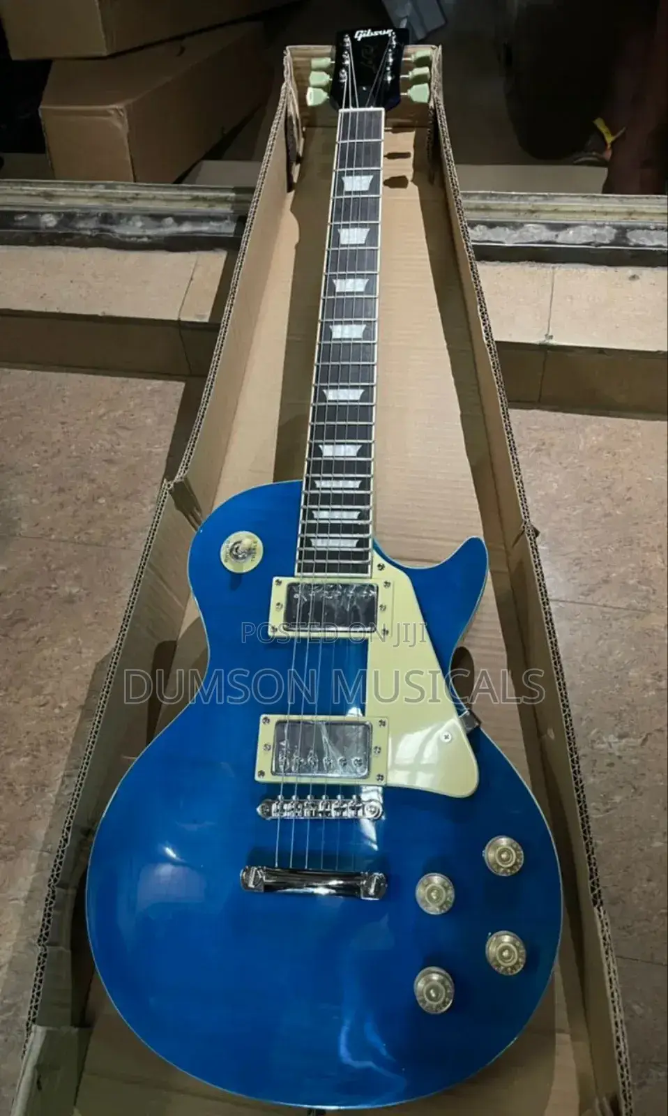 Professional Gibson Guitar