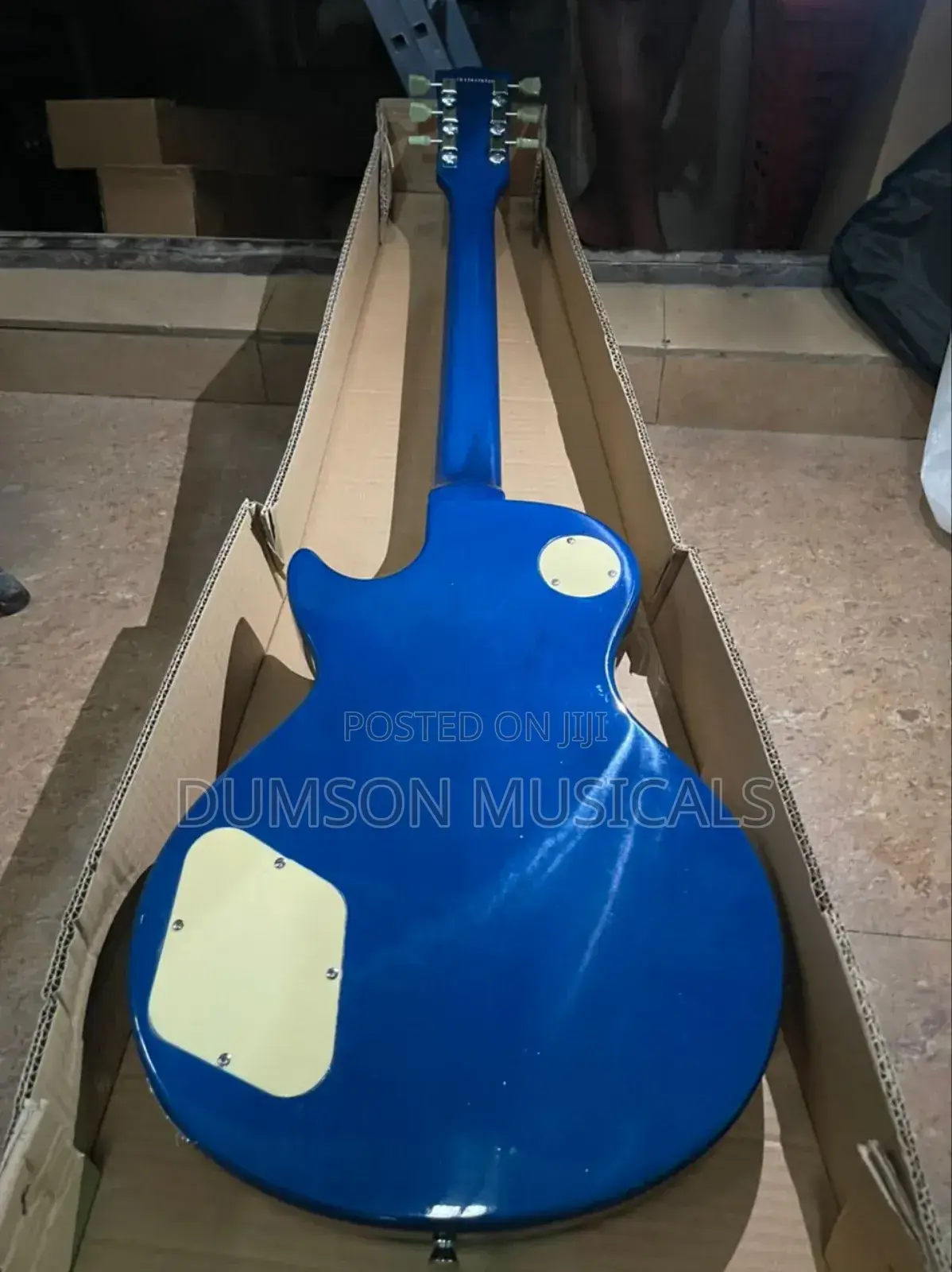 Professional Gibson Guitar