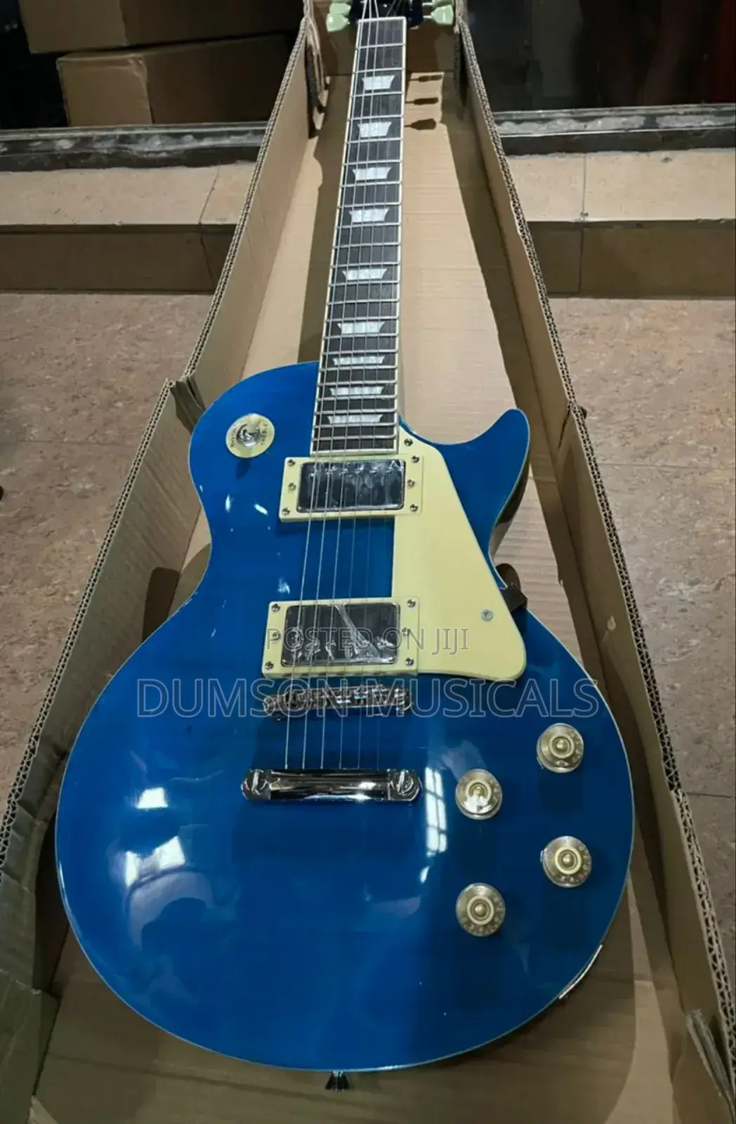 Professional Gibson Guitar