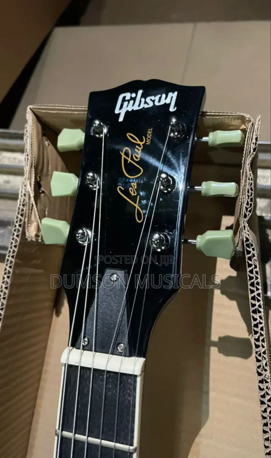Professional Gibson Guitar