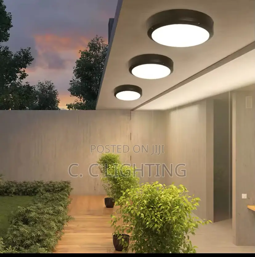 Outdoor Waterproof Ceiling Light Wall Light Modern