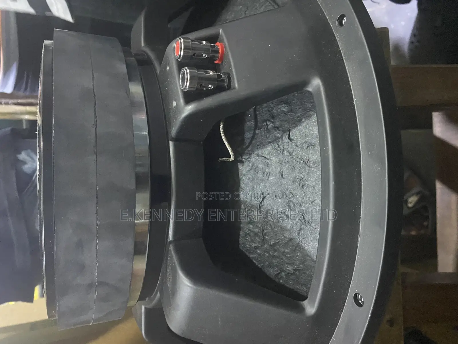 15 Double Magnet Naked Speaker 100coil