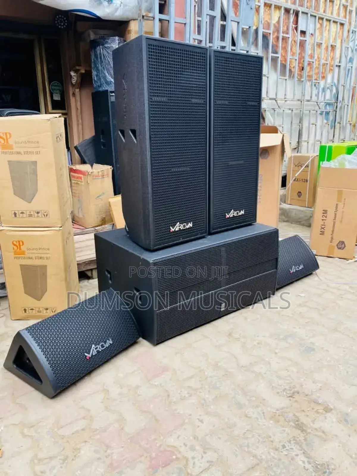 Virgin Professional Full Range Speaker Big Magnet