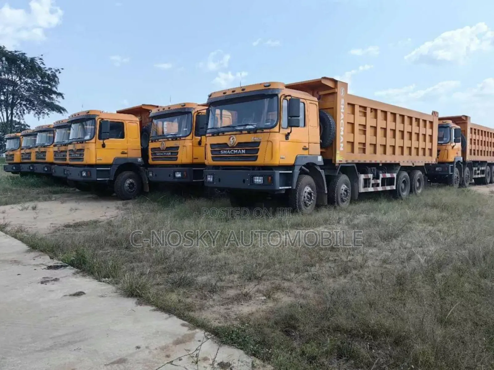 Shacman 10 Tyres Dump Trucks