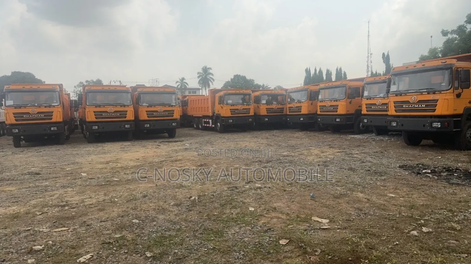 Shacman 10 Tyres Dump Trucks
