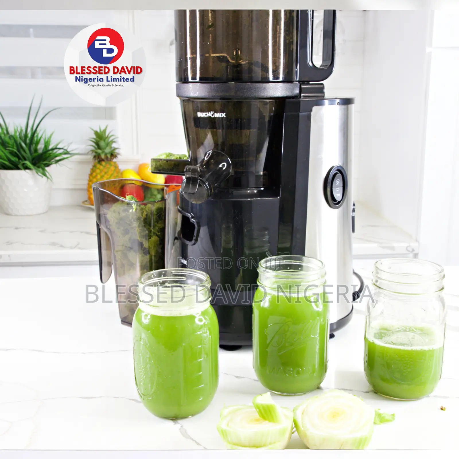Multifunctional Self Feeding Juicer With Heavy Duty Motor