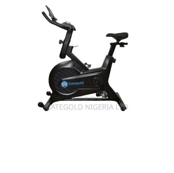 GA-25002 Spin Bike (Gategold Brand)
