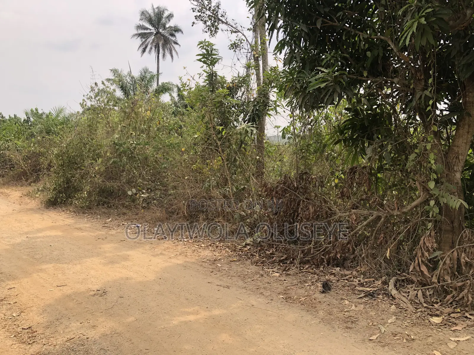 Agric Farmland in Ogun State Nigeria