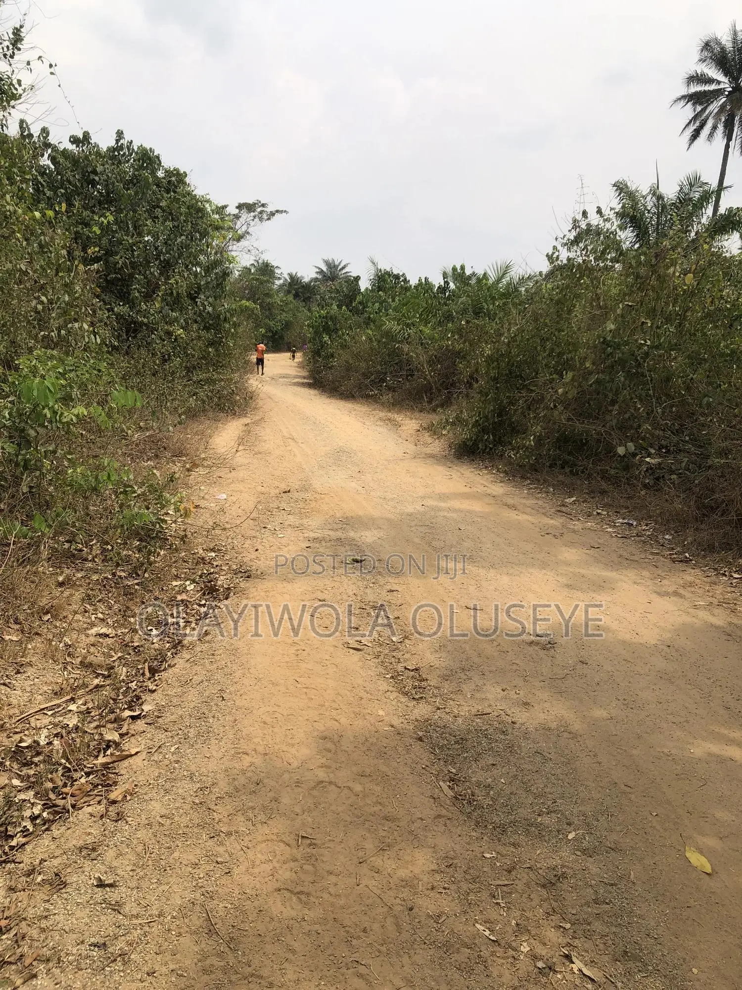 Agric Farmland in Ogun State Nigeria