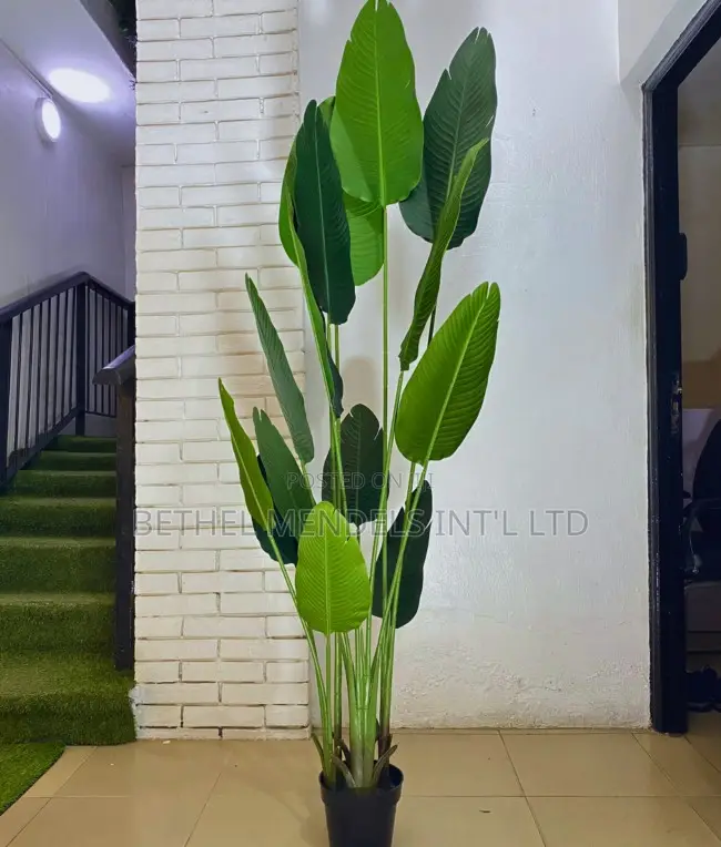 Artificial Traveler Banana Plant – Height:200cm
