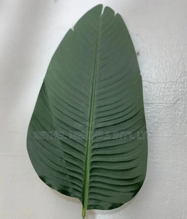 Artificial Traveler Banana Plant – Height:200cm