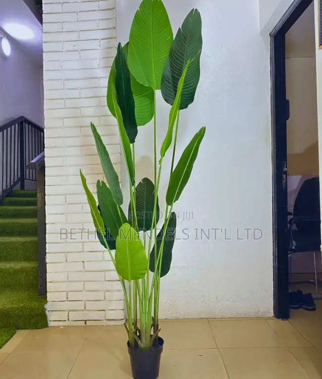 Artificial Traveler Banana Plant – Height:200cm