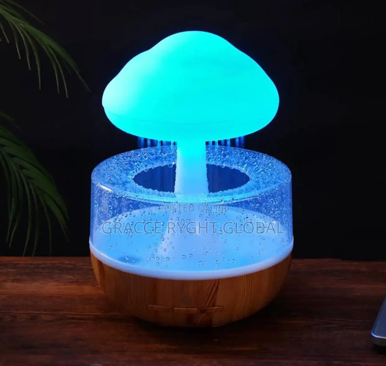 Cloud and Rain Drops Humidifier