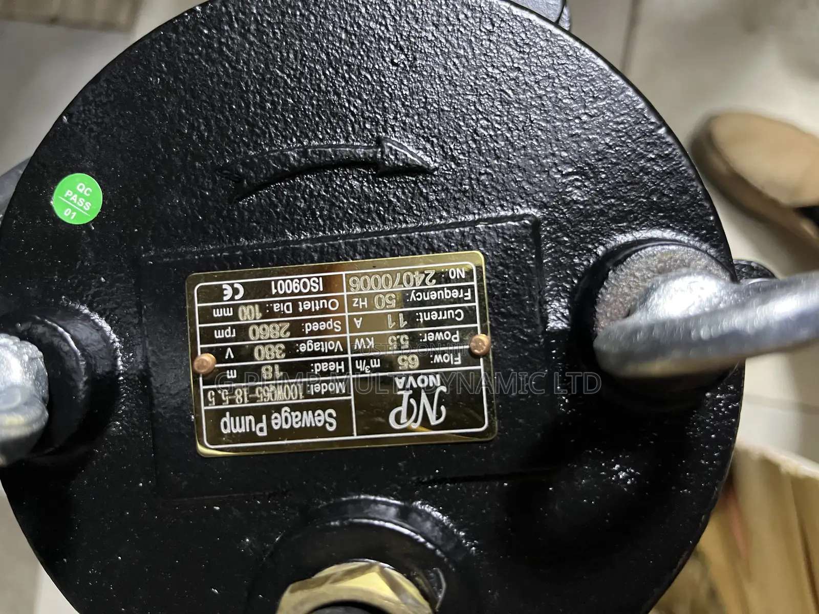 Good Brand of 5.5kw Sewage Pump