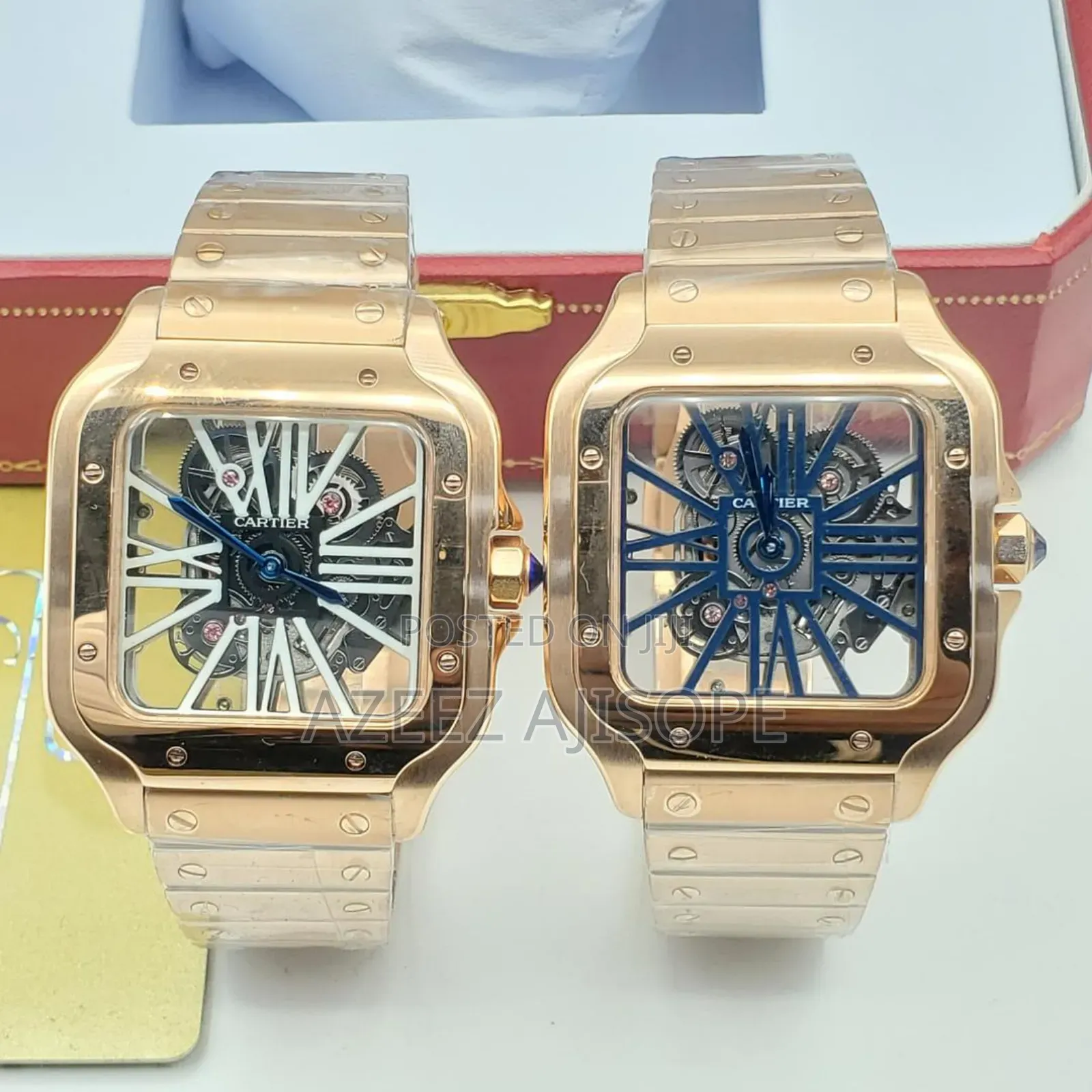 Carter Sekeletion Watch