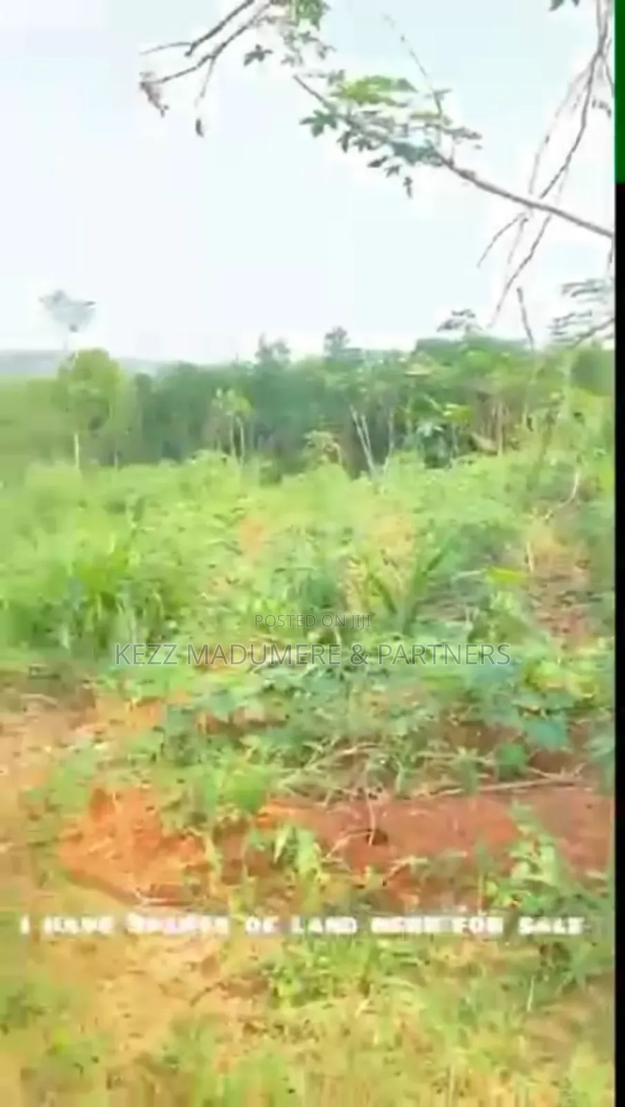 For Sale : 3 Plots at Trans Ekulu , Enugu