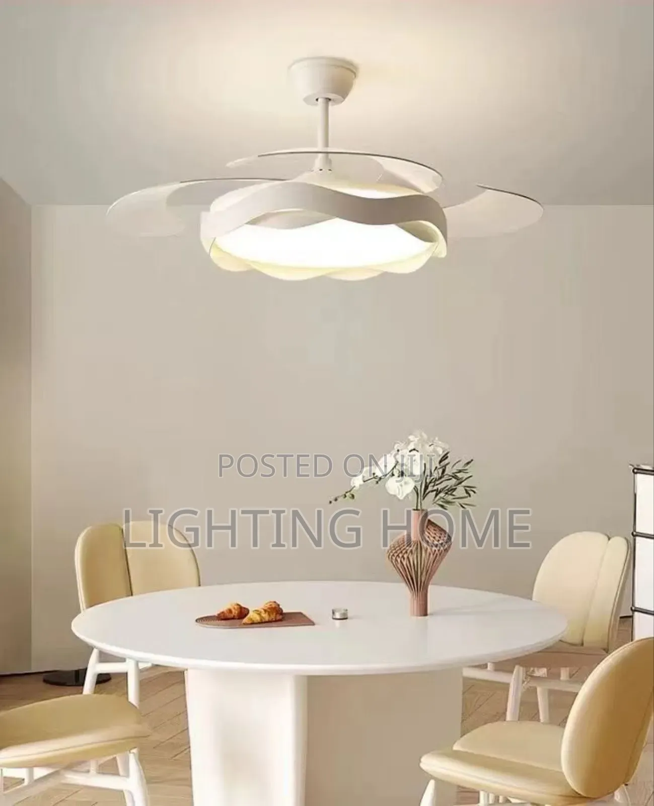 Ceiling Fan Light