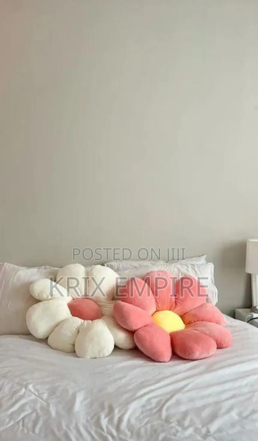 Star Pillows Four Chair, Couch, Sofa